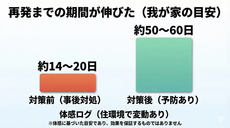 予防前と後の比較グラフ