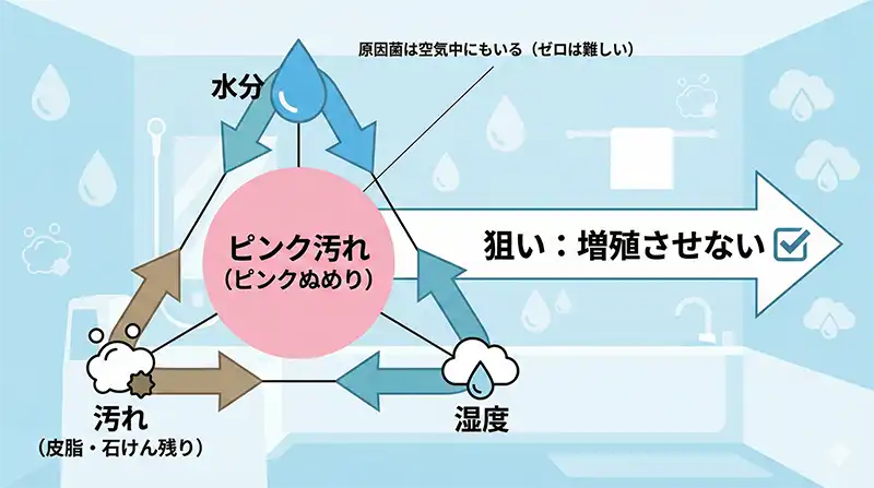 ピンク汚れが発生する3つの条件(水分・栄養・温度)