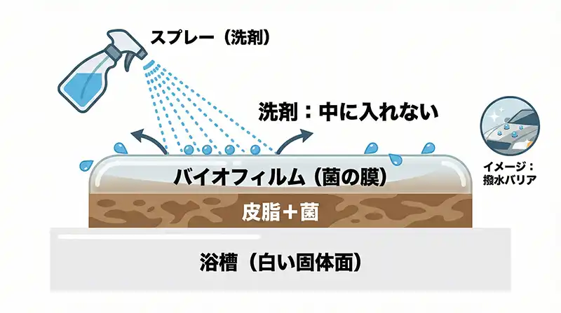 バイオフィルム断面図_洗剤が浸透しない構造