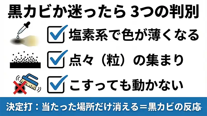 黒カビ判別_3チェック